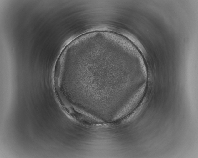 X0000111870858200908061252