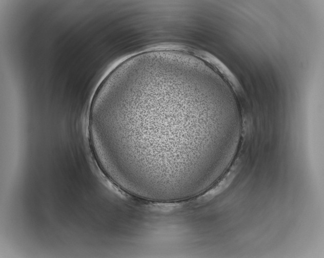 X0000111870860200908061252