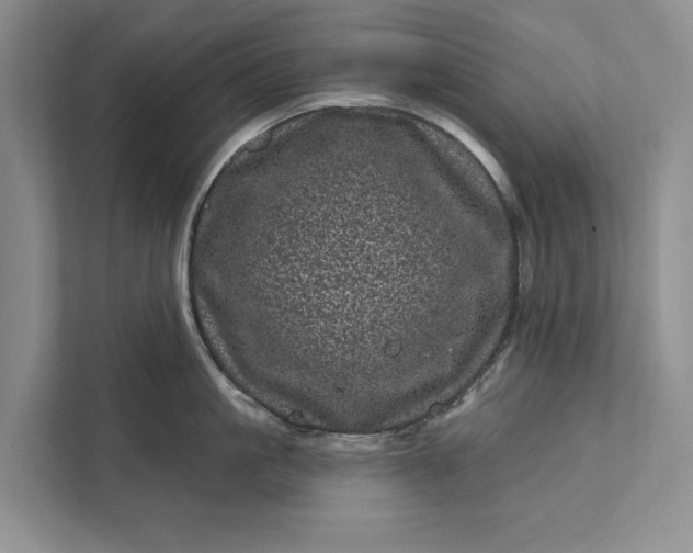 X0000111870861200908061252