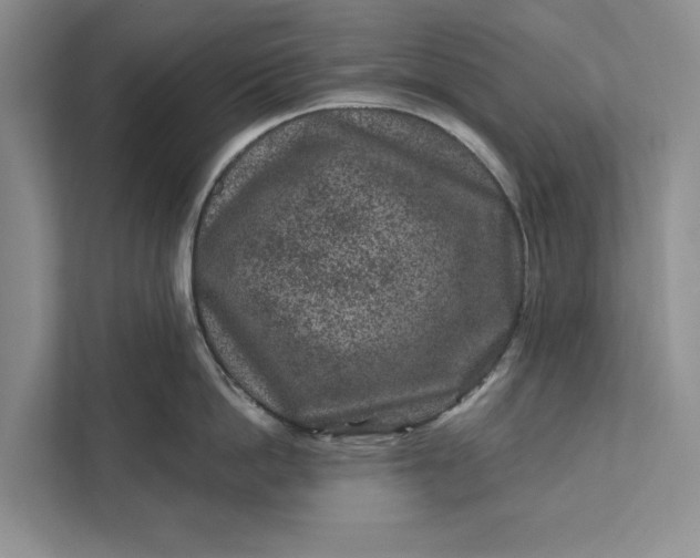 X0000111870862200908061252