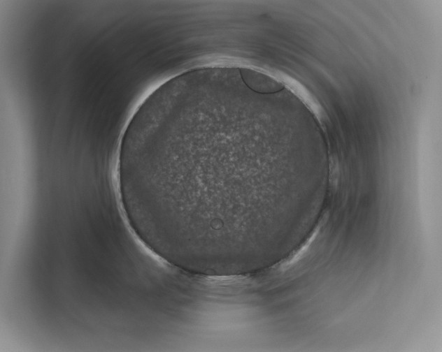 X0000111870863200908061252