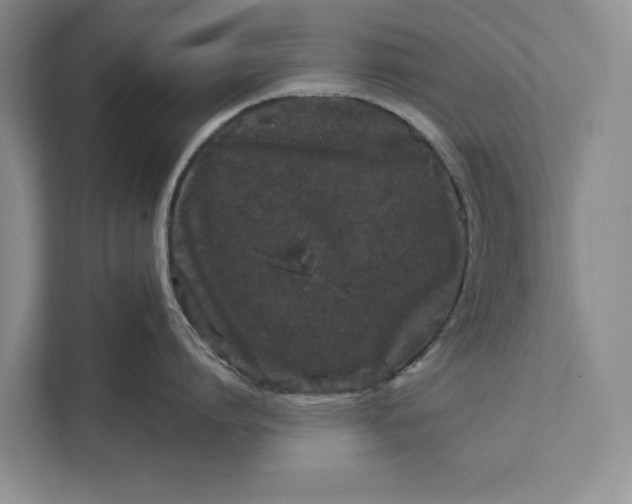 X0000111870864200908061252