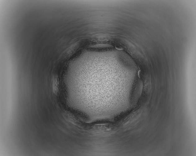 X0000111870866200908061252