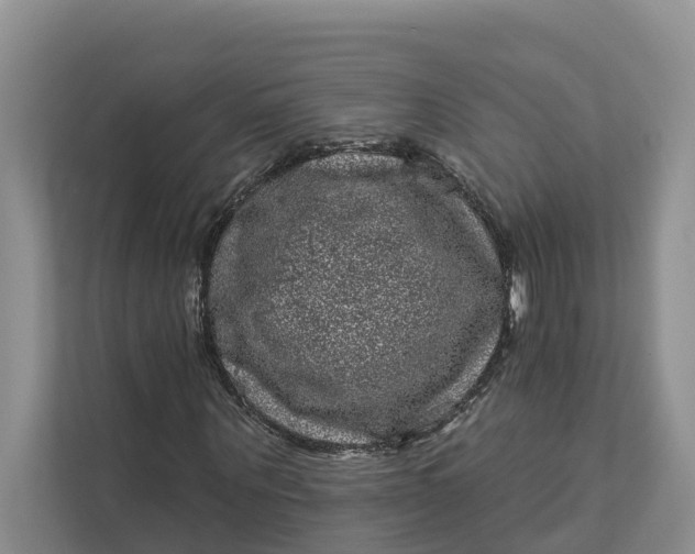 X0000111870867200908061252