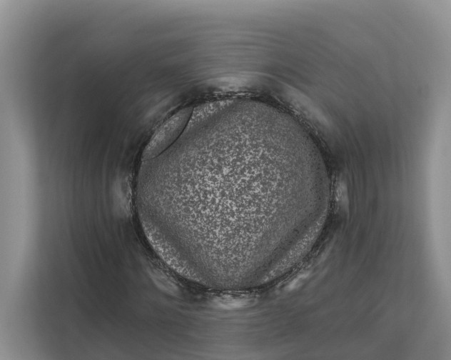 X0000111870868200908061252