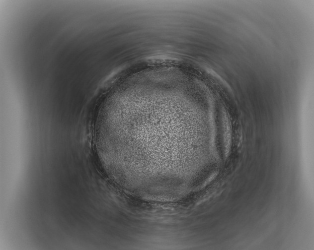 X0000111870870200908061252