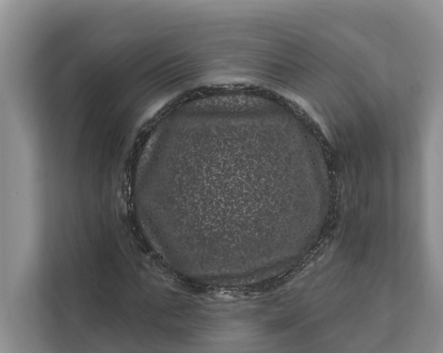 X0000111870871200908061252