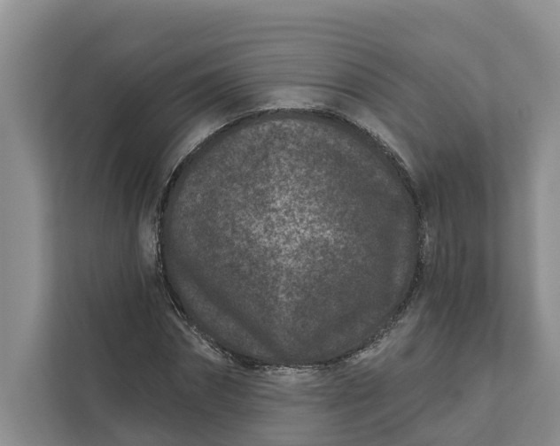 X0000111870874200908061252