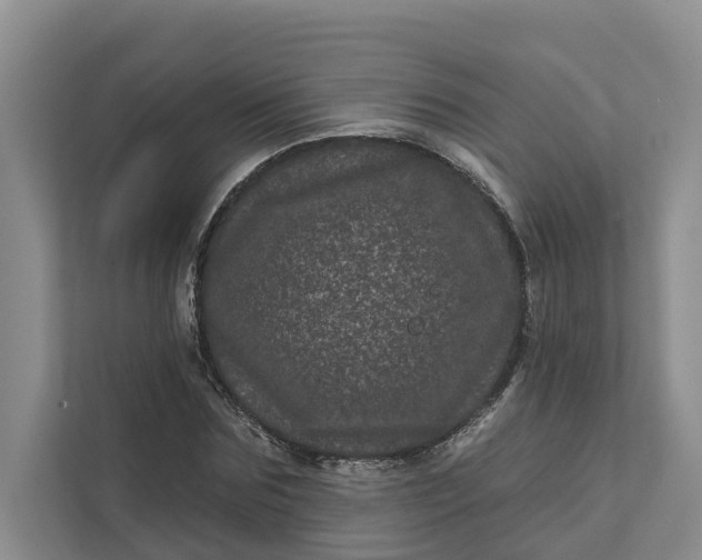 X0000111870875200908061252