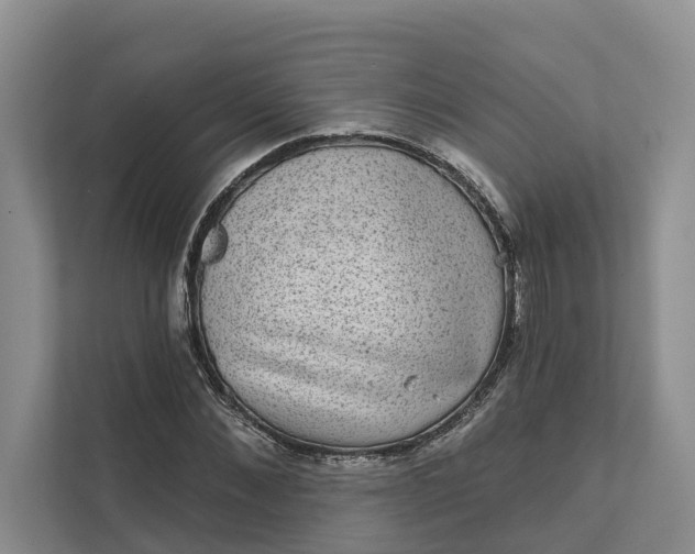 X0000111870876200908061252