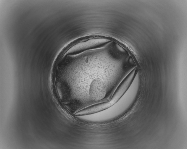 X0000111870880200908061252