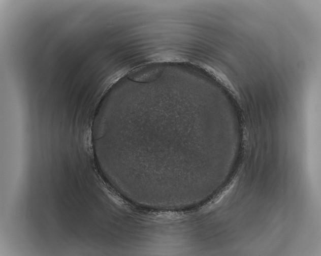 X0000111870881200908061252