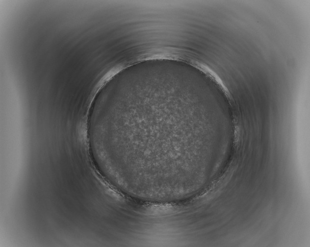 X0000111870882200908061252