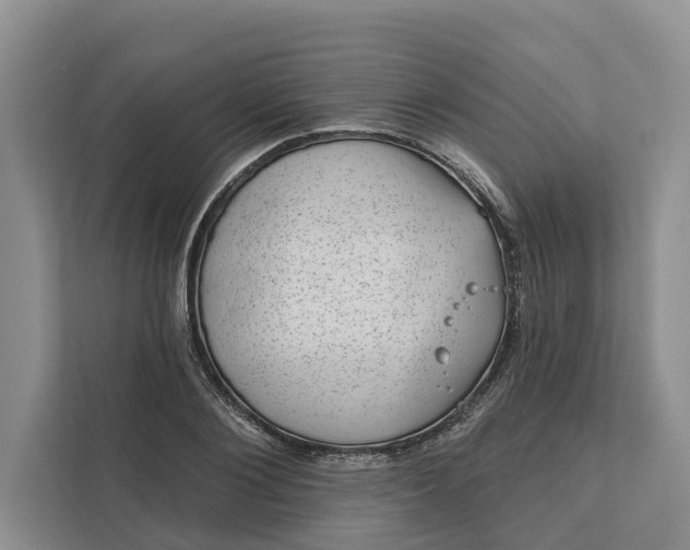 X0000111870884200908061252