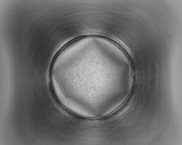 X0000111870885200908061252