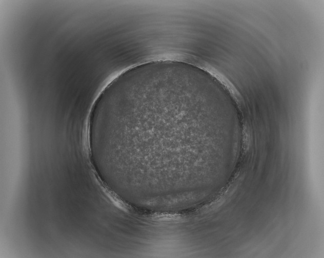 X0000111870886200908061252