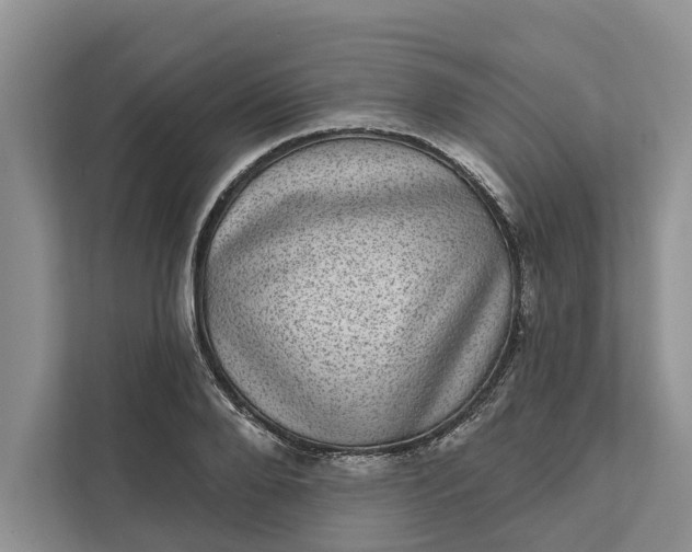 X0000111870888200908061252