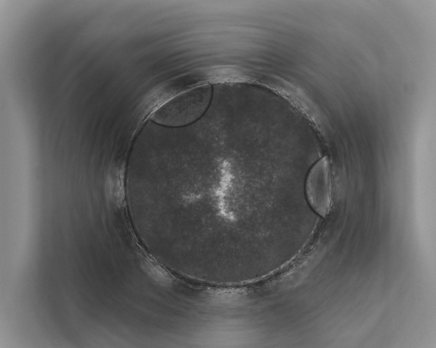 X0000111870889200908061252