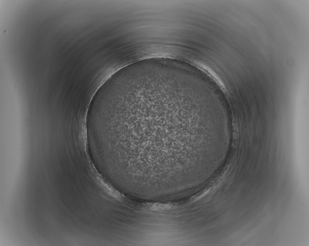 X0000111870890200908061251