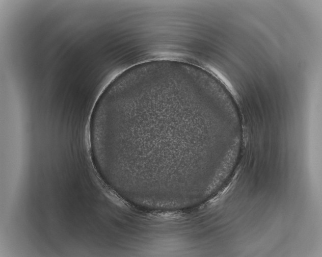 X0000111870891200908061251