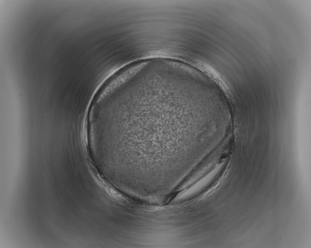 X0000111870892200908061251