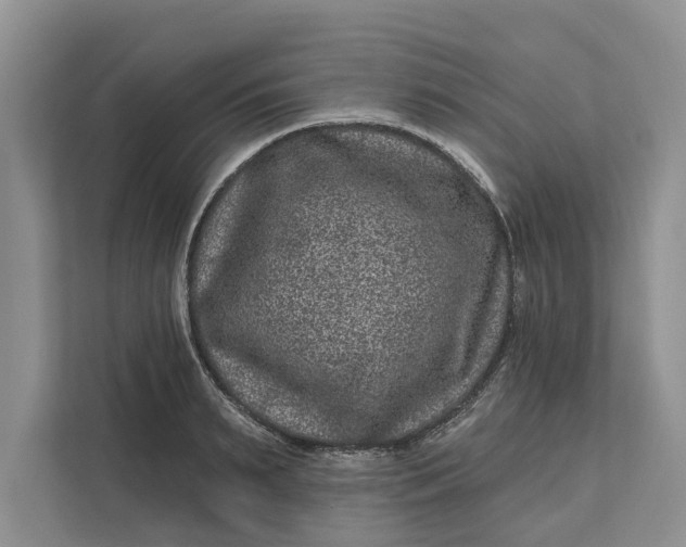 X0000111870895200908061251