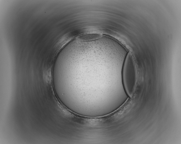 X0000111870897200908061251