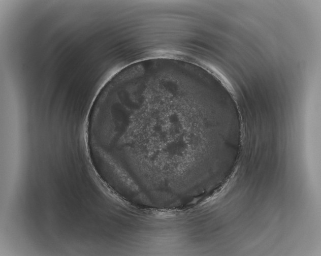 X0000111870899200908061251