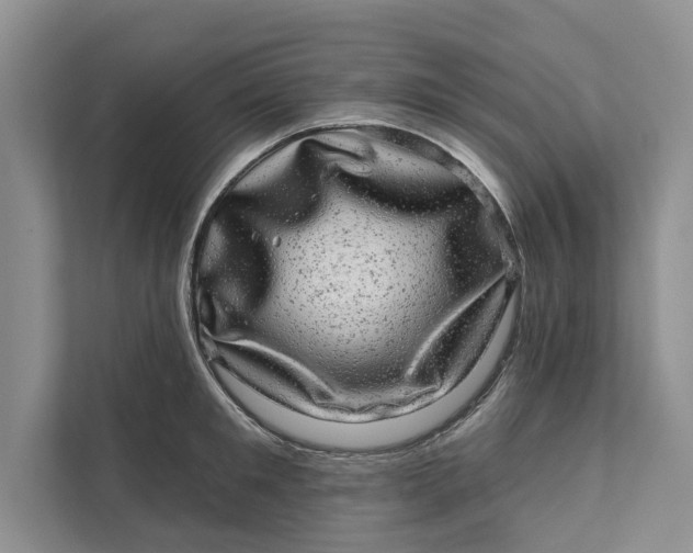 X0000111870901200908061251