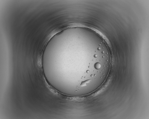 X0000111870905200908061251