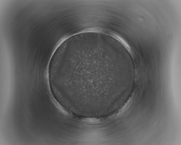 X0000111870907200908061251