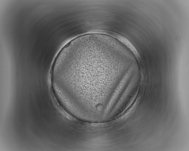 X0000111870908200908061251