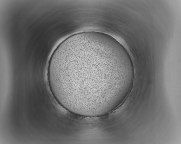 X0000111870912200908061251