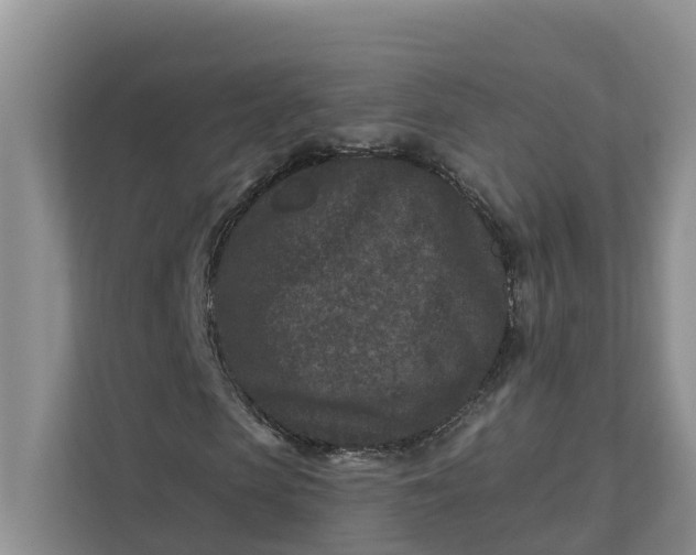 X0000111870913200908061251