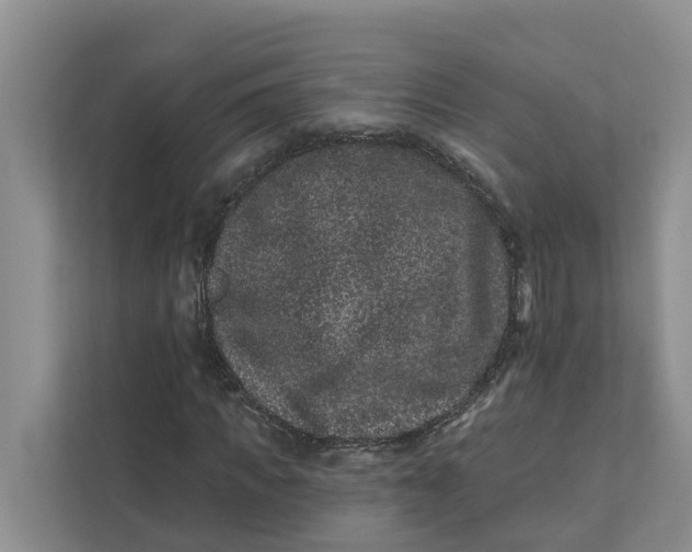 X0000111870917200908061251