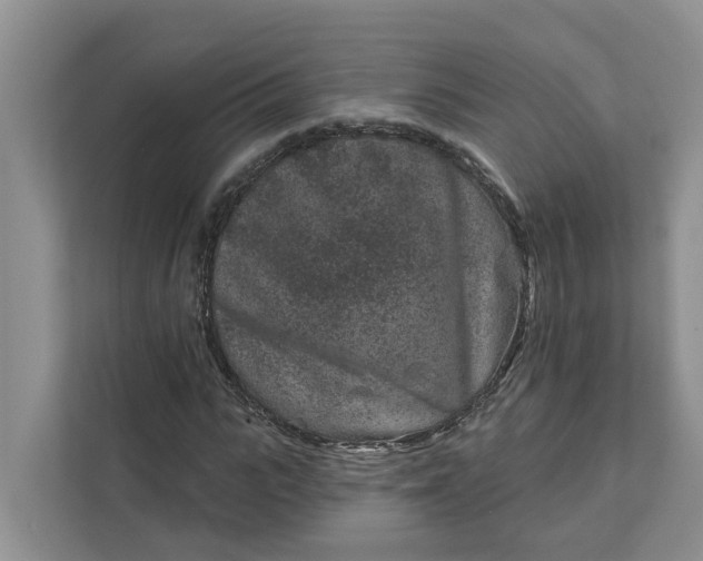 X0000111870919200908061251