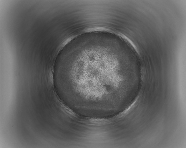 X0000111870921200908061251