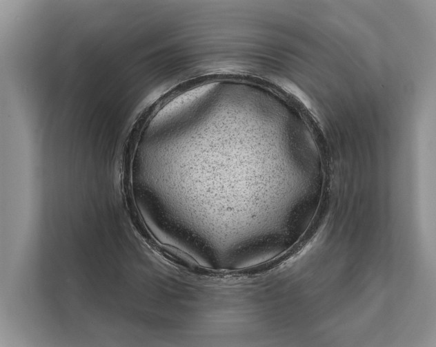 X0000111870922200908061251