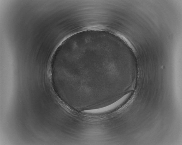 X0000111870923200908061251