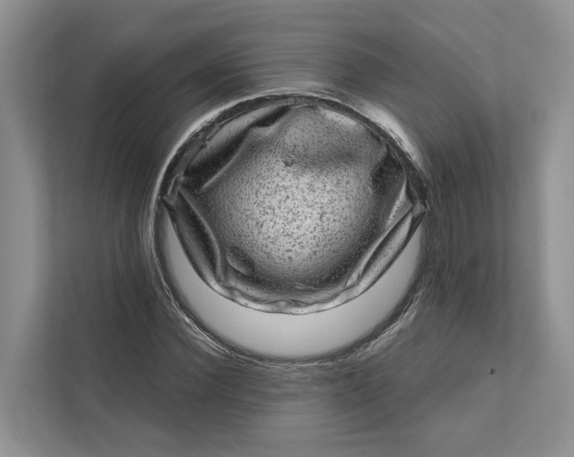 X0000111870924200908061251