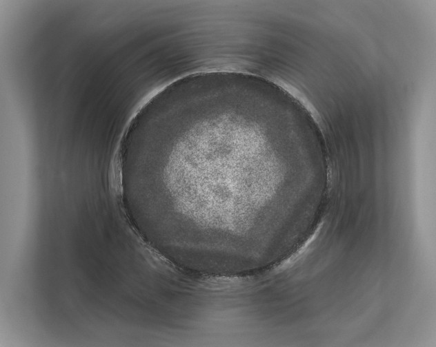 X0000111870925200908061251