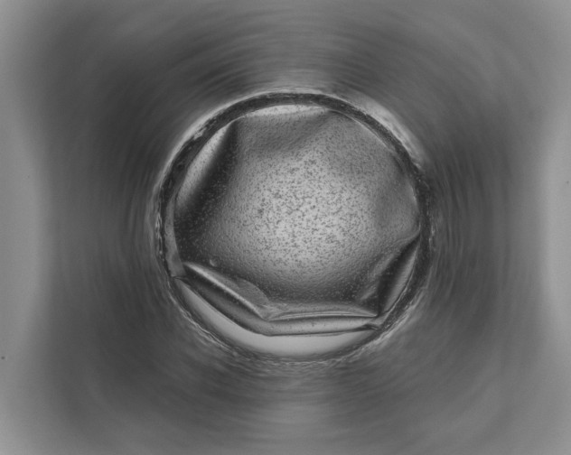 X0000111870926200908061251