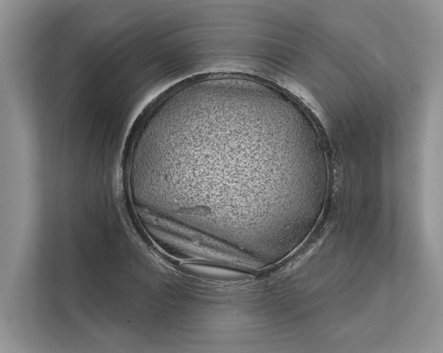 X0000111870928200908061251