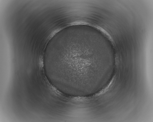 X0000111870929200908061251