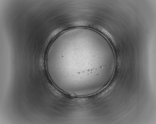 X0000111870930200908061251