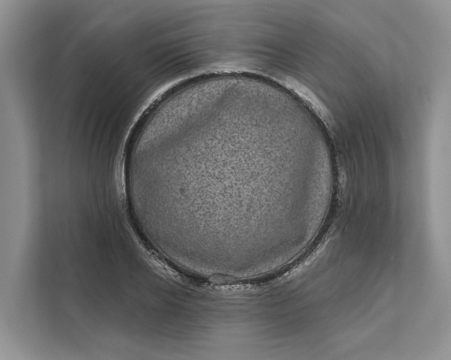 X0000111870934200908061251