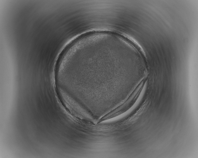 X0000111870935200908061251