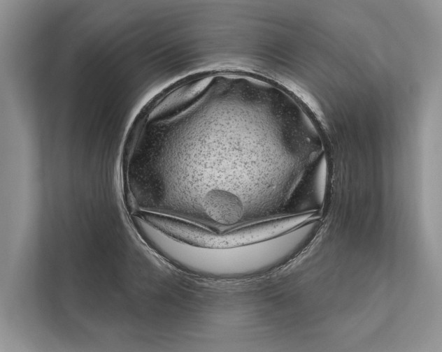 X0000111870936200908061251