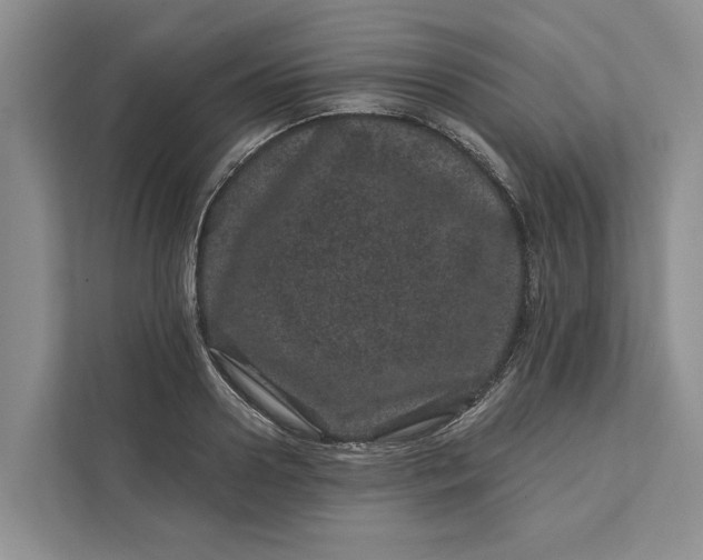 X0000111870938200908061251