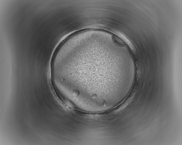 X0000111870940200908061251